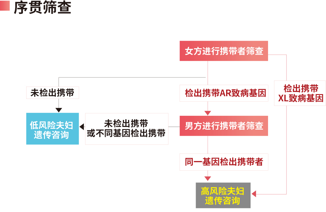 1743150597875014.jpg 456.jpg